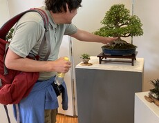 Andreas Knogler betrachtet einen Bonsai. 