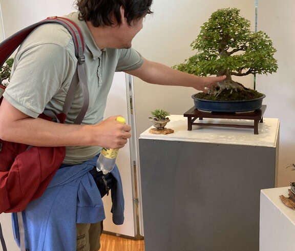 Andreas Knogler betrachtet einen Bonsai. 